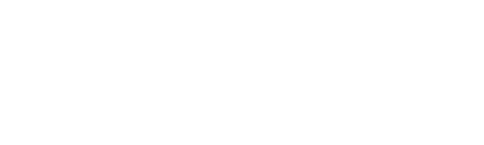 Lex Media